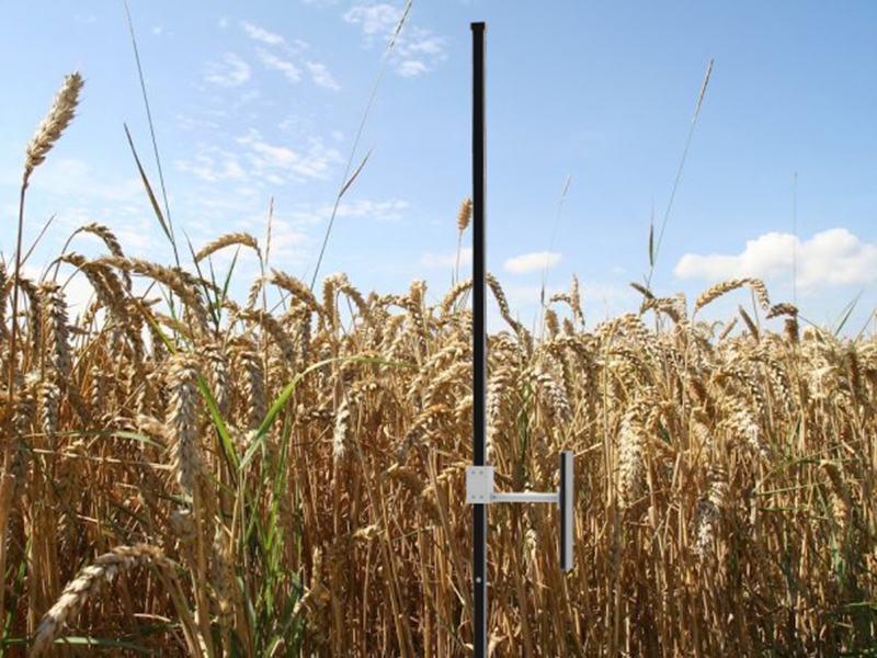 小麦表型检测系统 tpm-bx-1