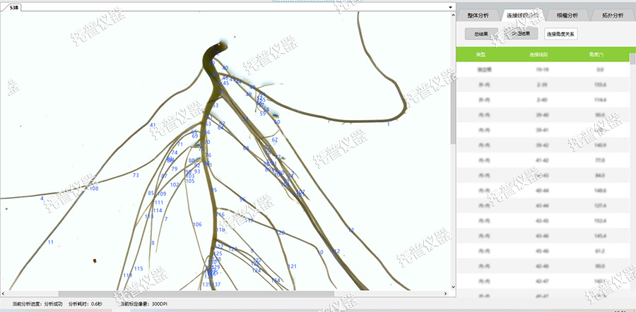 根系根瘤分析系统——plus版本大显身手，根瘤分析不再困难
