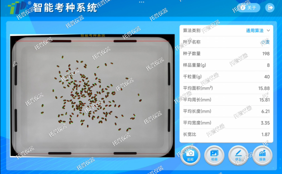 智能考种系统——精准测量，无忧育种，解锁育种新篇章