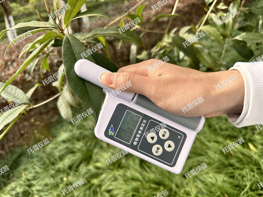 植物营养测定仪—无损检测，实时显示，您的植物私人医生