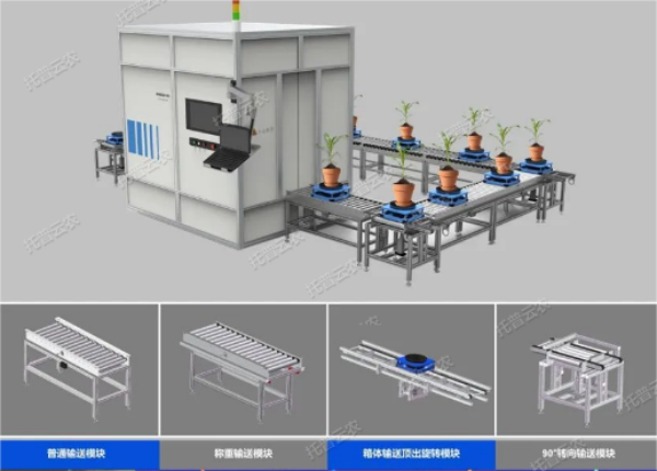 托普云农“高通量植物表型采集分析平台”荣获cisile 2024 “自主创新金奖”