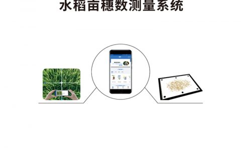 水稻亩穗数测量仪 tpds-1